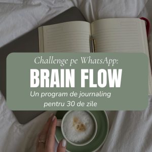 Brain Flow - 30 de zile de journaling ghidat - imagine 1